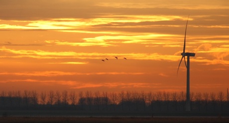 lucht 1.jpg