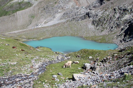 Meertje Kaunertaler Gletscher