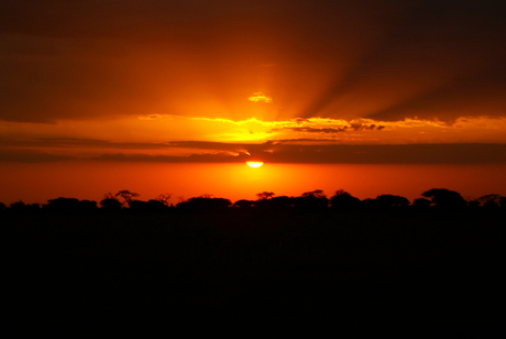 Serengetti Sunset