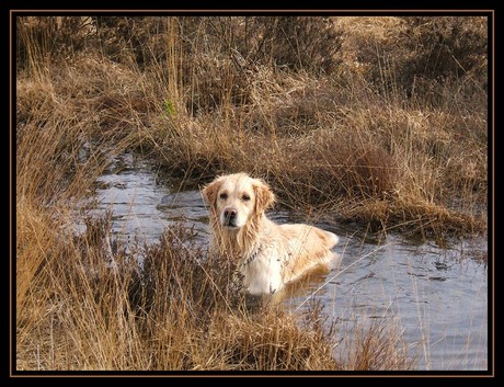 Spelen in het water 1