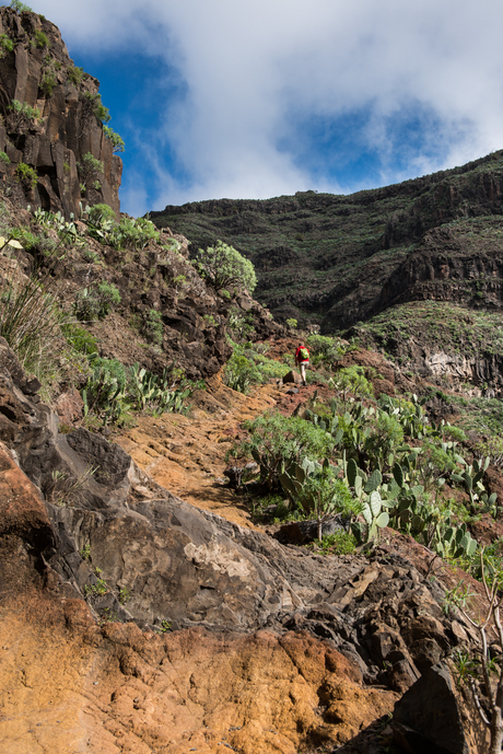 LaGomera2012-1376