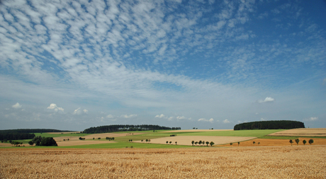 Landschap Lichtenau