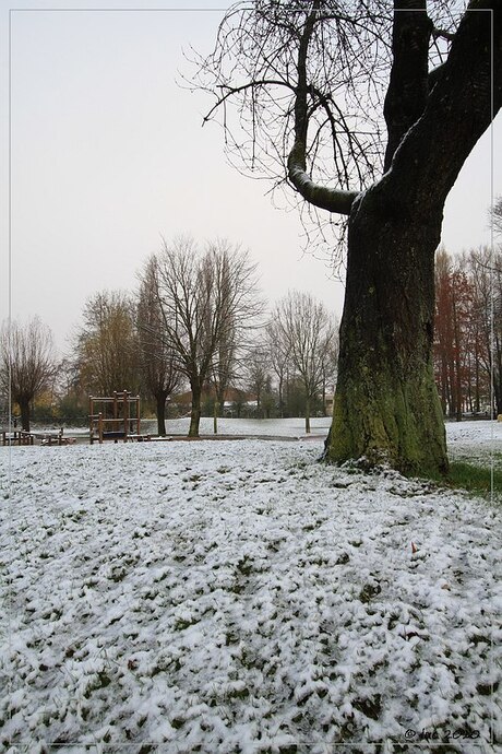 De eerste sneeuw in Vlaanderen