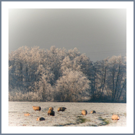 Winter in Nederland