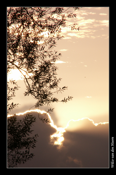 opkomende zon