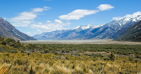 Mt Cook view