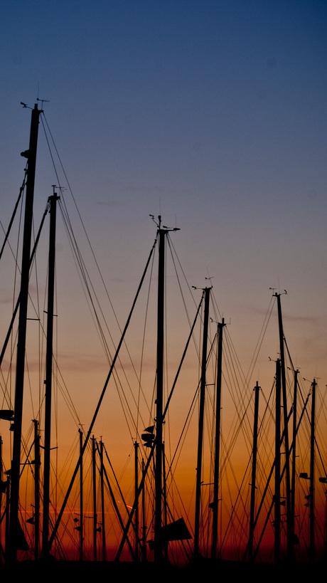 Boats at dawn