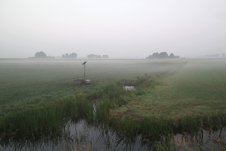 Mistig veld en slootje