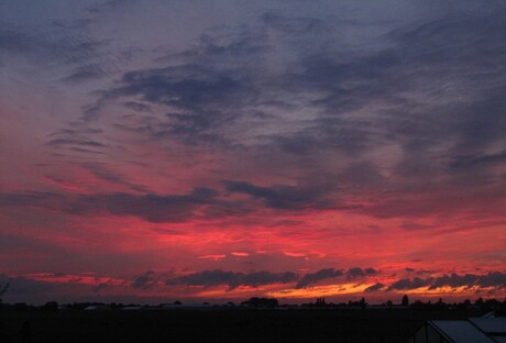 donker-rood