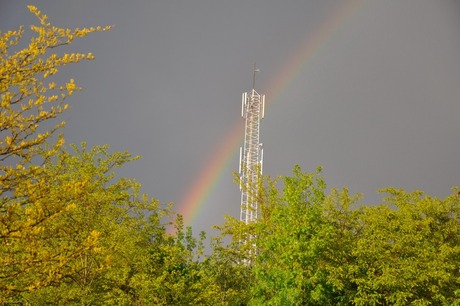 Dit is de natuur, electriciteit en natuurelementen