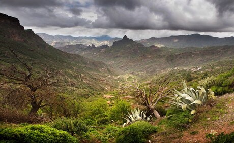 Gran Canaria