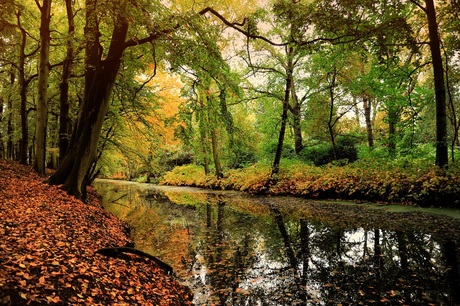 clingendael [autumn]