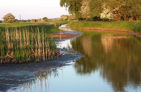 laag water in de uiterwaarden