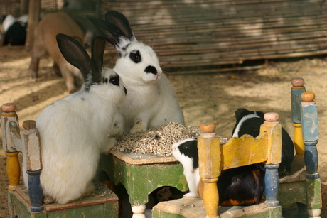 Gezellig samen een hapje eten samen!