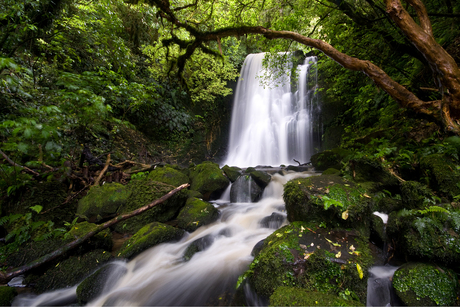 Matai falls, Nieuw Zeeland
