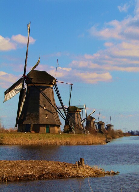 kinderdijk2013 2.jpg