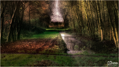 Park Kerkpolder Delft