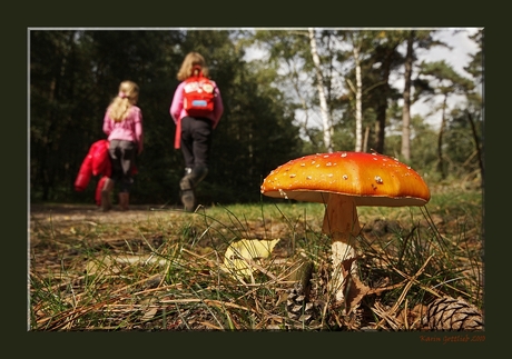 Herfst wandeling