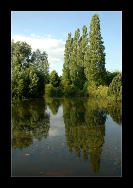 Reflection