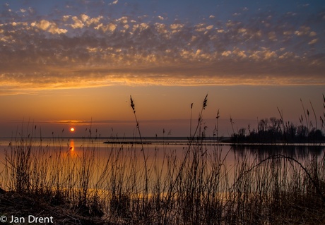 Lauwersmeer