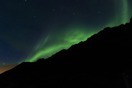 Noorderlicht in Henningsvær (Lofoten)