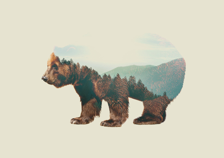 Double exposure bear