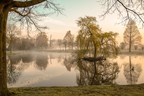 Zomaar een lentemorgen in brabant