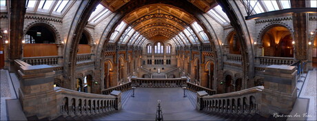 National History Museum - Londen