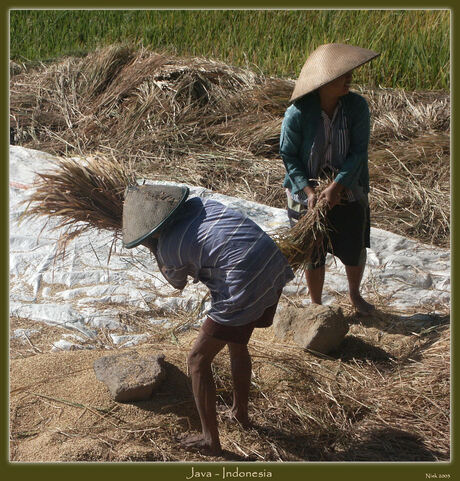 Java Indonesia