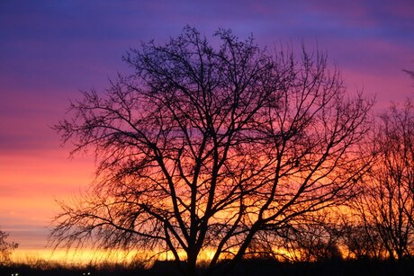 Zonsopkomst in Alphen aan den Rijn