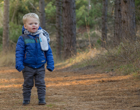 Wandeling in het bos