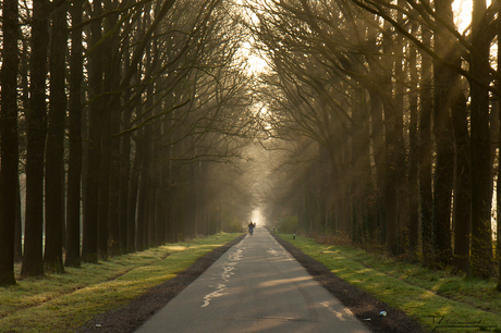 De eenzame fietser