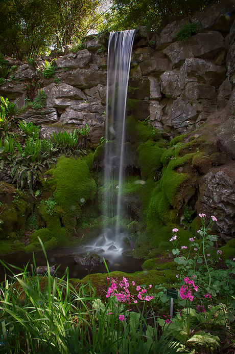 Zoomdag Botanische tuin Utrecht 2