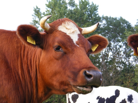 Kijk nou toch eens...