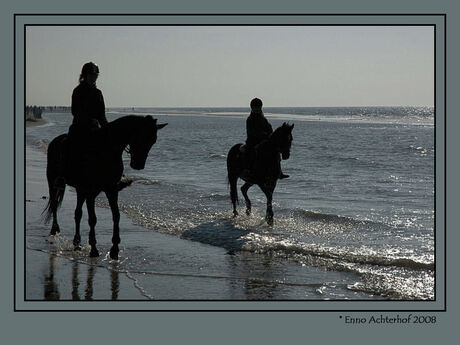 Paarden langs het strand