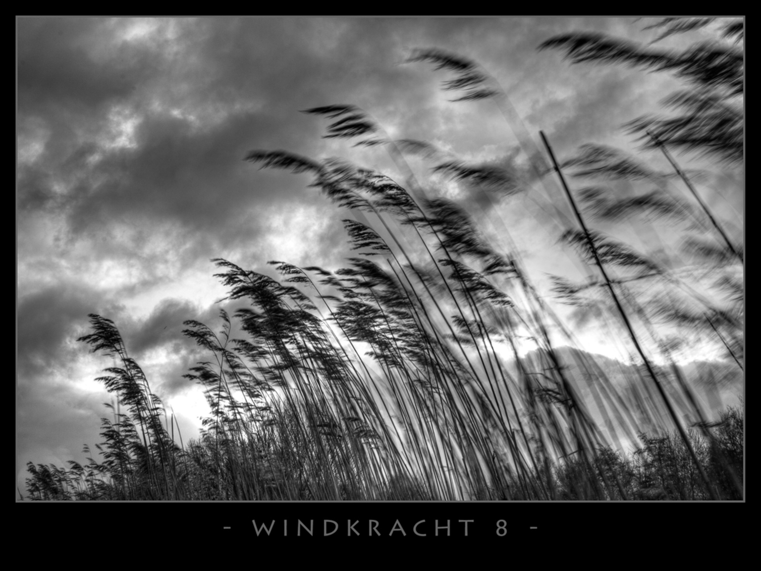 windkracht 8 - foto van woutervroom - Landschap - Zoom.nl
