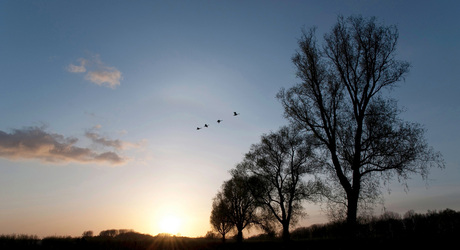 Zonsondergang Rhoonse Grienden