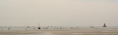 Waddenzee Terschelling bij groene strand