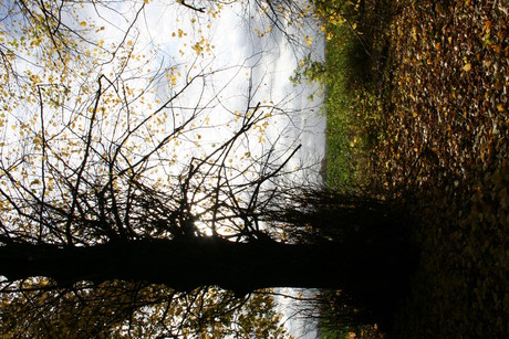 Herfstkleurtjes