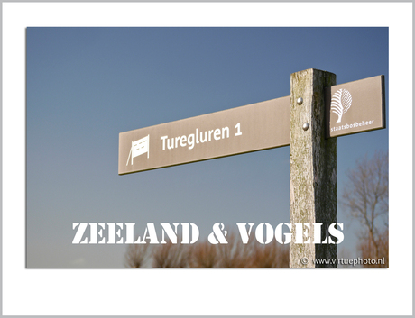 ZEELAND & VOGELS