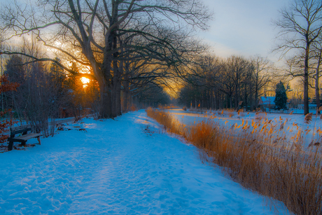 Winter op de Veluwe