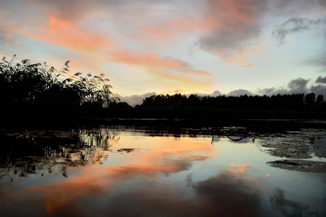 Zonsondergang Park Cronesteyn Leiden