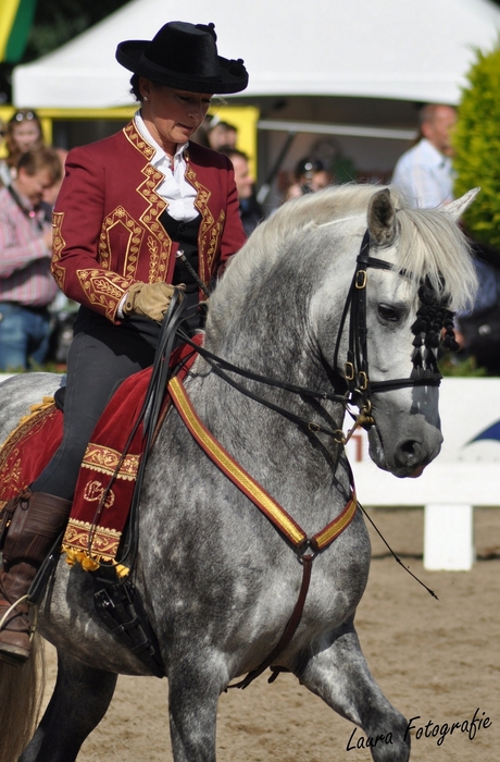 Horse Event 2010