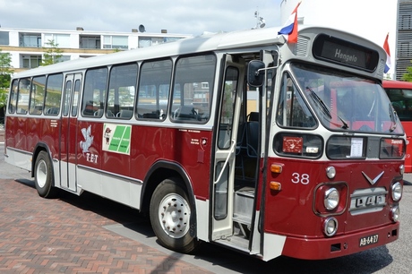 Bus Tet 1982.JPG