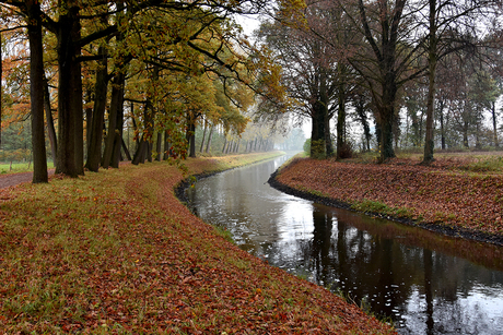 wandeling in het bos