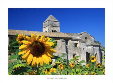 St. Remy de Provence