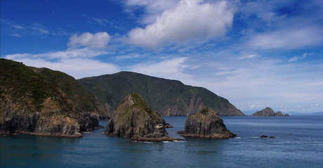 Marlborough Sounds