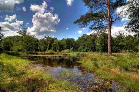 Hdr brabants landschap