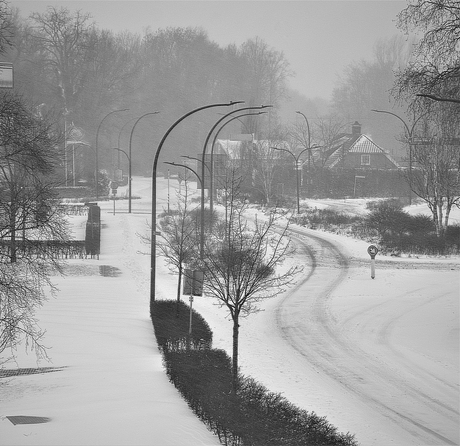 0805 Eerste sneeuwdag.