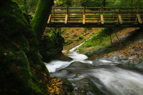 river under the bridge